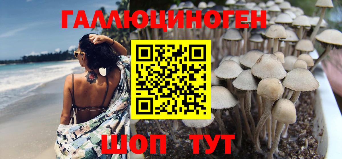Псилоцибиновые грибы ЛСД Советск