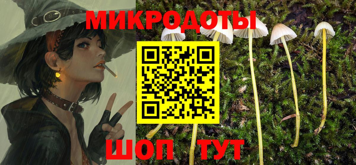 Советск  Галлюциногенные грибы Magic Shrooms  Вход с VPN 
